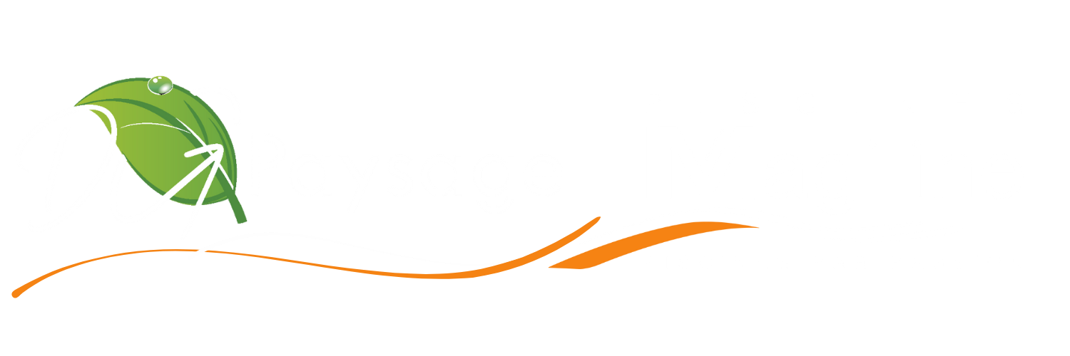 DG PAYSAGE - PISCINES MAGILINE